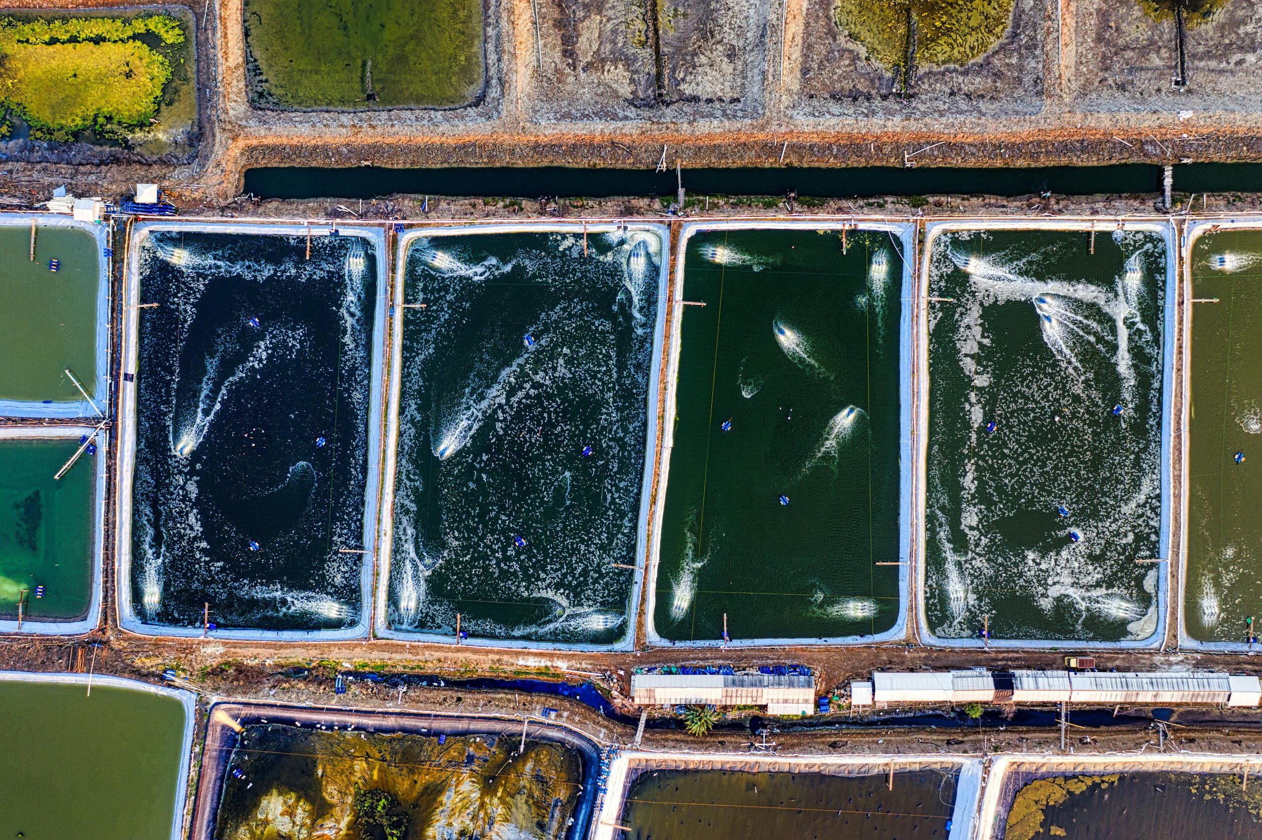 Dynamic aerial view of fish farming ponds in West Java. Vibrant and energetic layout showcasing aquaculture.